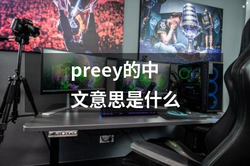 preey的中文意思是什么-第1张-游戏信息-龙启网