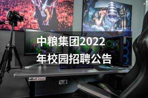 中粮集团2022年校园招聘公告-第1张-游戏信息-龙启网