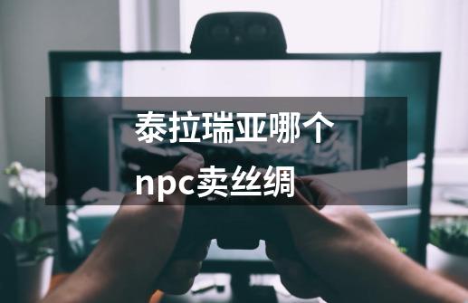 泰拉瑞亚哪个npc卖丝绸-第1张-游戏信息-龙启网