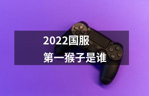 2022国服第一猴子是谁-第1张-游戏信息-龙启网