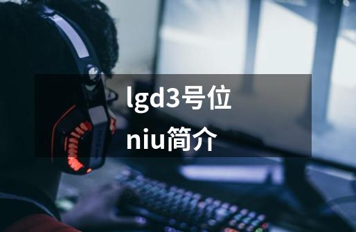 lgd3号位niu简介-第1张-游戏信息-龙启网