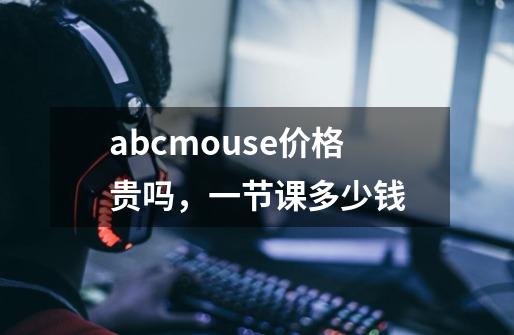 abcmouse价格贵吗，一节课多少钱-第1张-游戏信息-龙启网