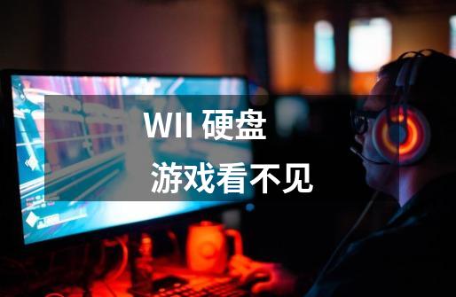 WII 硬盘 游戏看不见-第1张-游戏信息-龙启网