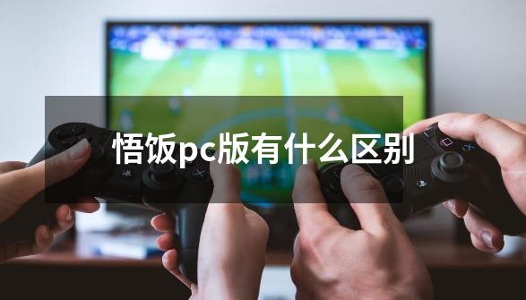 悟饭pc版有什么区别-第1张-游戏信息-龙启网