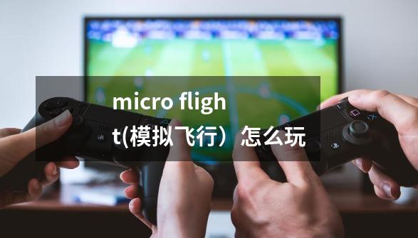 micro flight(模拟飞行）怎么玩-第1张-游戏信息-龙启网