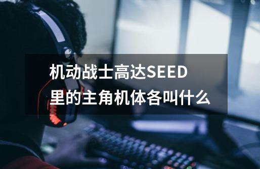 机动战士高达SEED里的主角机体各叫什么-第1张-游戏信息-龙启网