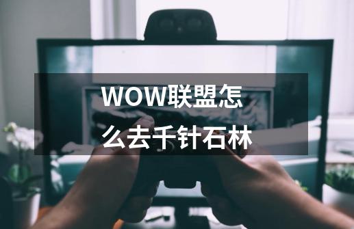 WOW联盟怎么去千针石林-第1张-游戏信息-龙启网