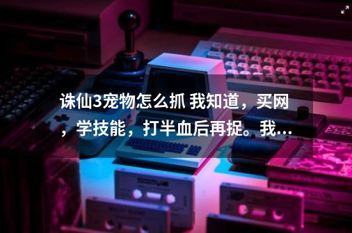 诛仙3宠物怎么抓 我知道，买网，学技能，打半血后再捉。我就想知道，各个宠物都在什么位置，具体坐标是-第1张-游戏信息-龙启网