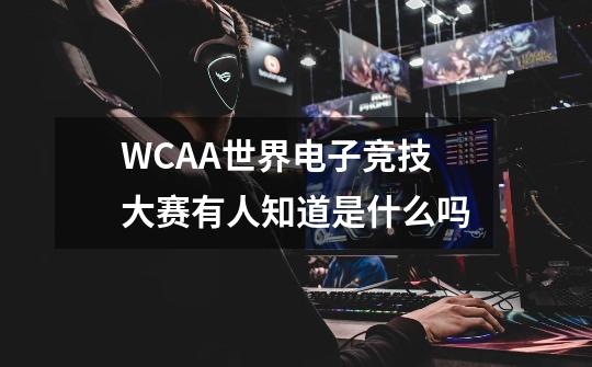 WCAA世界电子竞技大赛有人知道是什么吗-第1张-游戏信息-龙启网