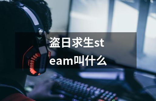 盗日求生steam叫什么-第1张-游戏信息-龙启网