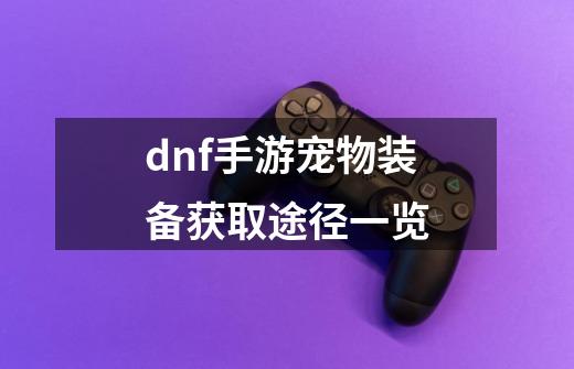 dnf手游宠物装备获取途径一览-第1张-游戏信息-龙启网