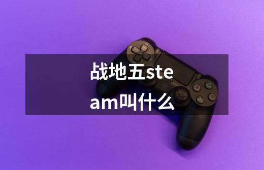 战地五steam叫什么-第1张-游戏信息-龙启网