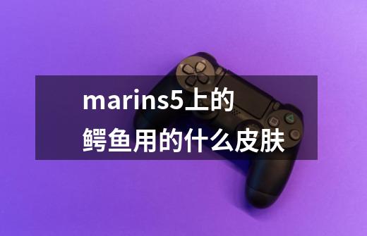 marins5上的鳄鱼用的什么皮肤-第1张-游戏信息-龙启网