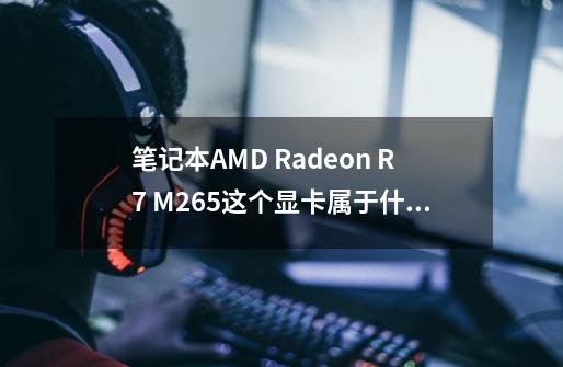 笔记本AMD Radeon R7 M265这个显卡属于什么等级的-第1张-游戏信息-龙启网