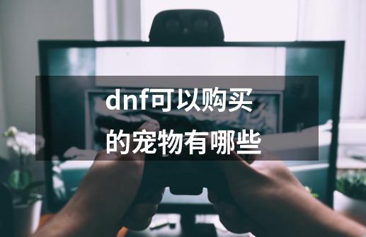 dnf可以购买的宠物有哪些-第1张-游戏信息-龙启网