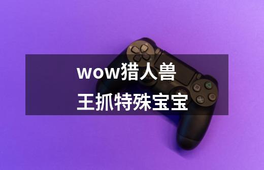 wow猎人兽王抓特殊宝宝-第1张-游戏信息-龙启网