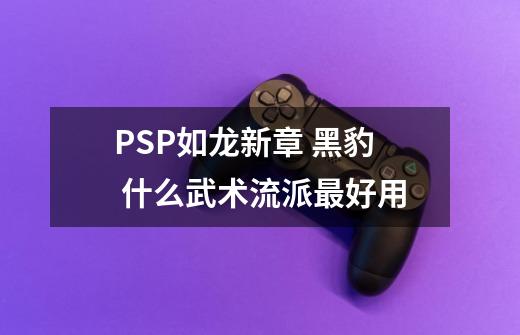 PSP如龙新章 黑豹 什么武术流派最好用-第1张-游戏信息-龙启网