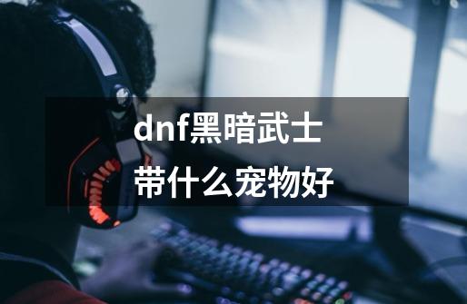 dnf黑暗武士带什么宠物好-第1张-游戏信息-龙启网