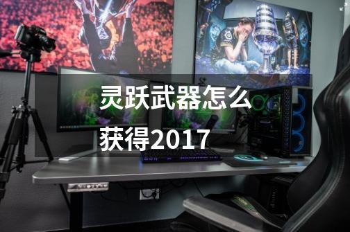 灵跃武器怎么获得2017-第1张-游戏信息-龙启网