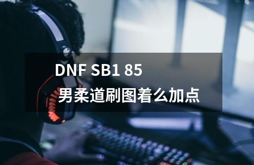 DNF SB1 85 男柔道刷图着么加点-第1张-游戏信息-龙启网