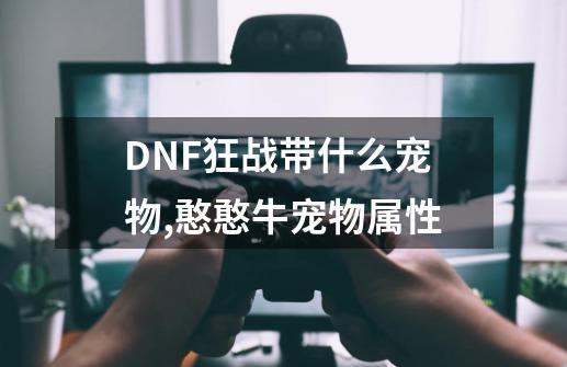 DNF狂战带什么宠物,憨憨牛宠物属性-第1张-游戏信息-龙启网