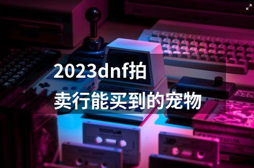 2023dnf拍卖行能买到的宠物-第1张-游戏信息-龙启网