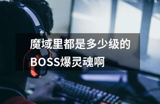 魔域里都是多少级的BOSS爆灵魂啊-第1张-游戏信息-龙启网