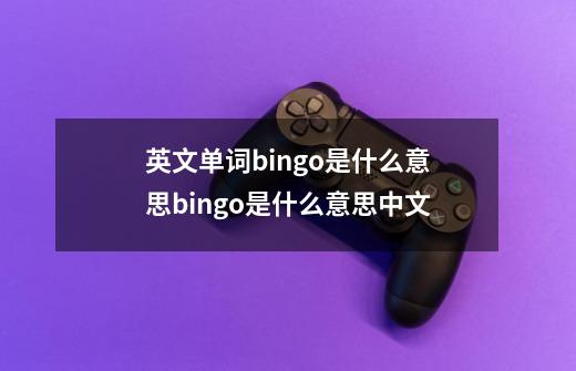 英文单词bingo是什么意思bingo是什么意思中文-第1张-游戏信息-龙启网