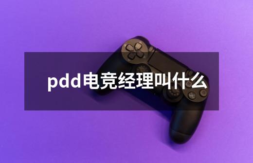 pdd电竞经理叫什么-第1张-游戏信息-龙启网