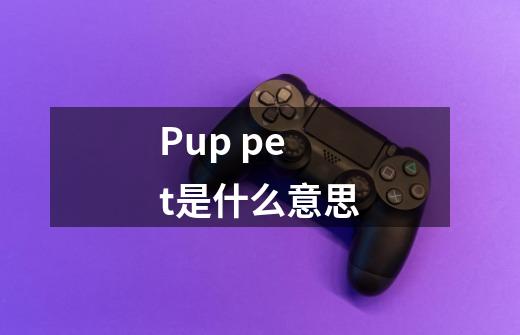 Pup pet是什么意思-第1张-游戏信息-龙启网