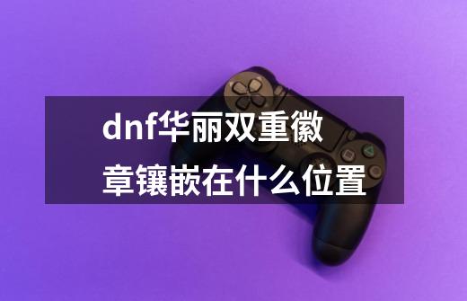 dnf华丽双重徽章镶嵌在什么位置-第1张-游戏信息-龙启网