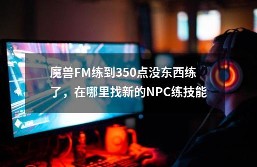 魔兽FM练到350点没东西练了，在哪里找新的NPC练技能-第1张-游戏信息-龙启网