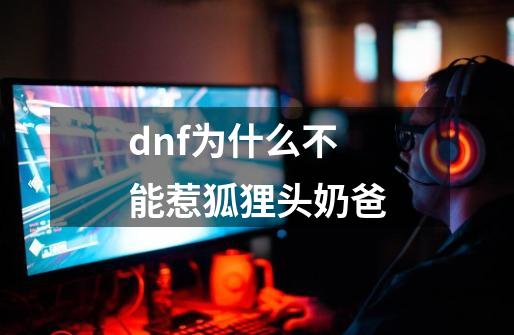 dnf为什么不能惹狐狸头奶爸-第1张-游戏信息-龙启网