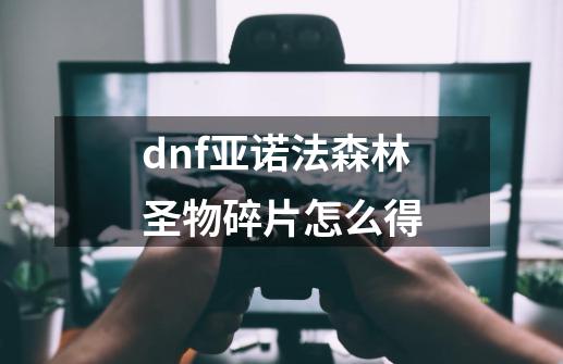 dnf亚诺法森林圣物碎片怎么得-第1张-游戏信息-龙启网