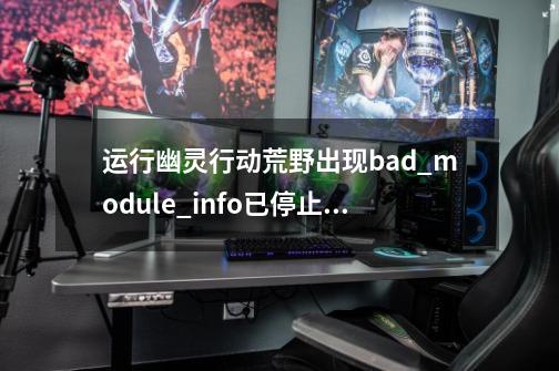 运行幽灵行动荒野出现bad_module_info已停止工作，游戏无法进入-第1张-游戏信息-龙启网