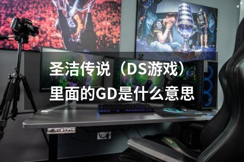 圣洁传说（DS游戏）里面的GD是什么意思-第1张-游戏信息-龙启网