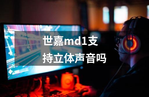 世嘉md1支持立体声音吗-第1张-游戏信息-龙启网