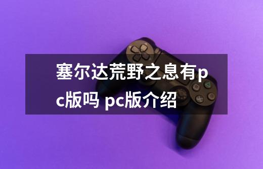 塞尔达荒野之息有pc版吗 pc版介绍-第1张-游戏信息-龙启网