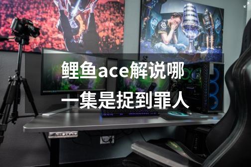 鲤鱼ace解说哪一集是捉到罪人-第1张-游戏信息-龙启网