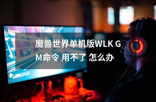 魔兽世界单机版WLK GM命令 用不了 怎么办-第1张-游戏信息-龙启网