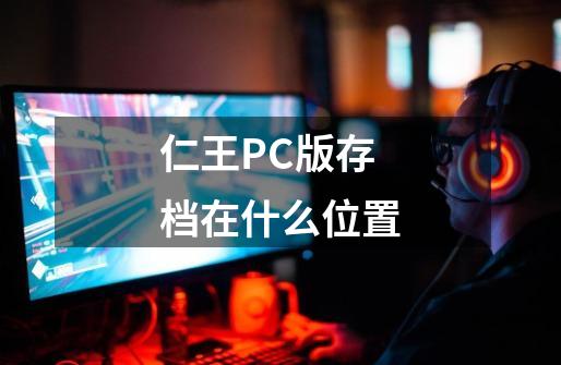 仁王PC版存档在什么位置-第1张-游戏信息-龙启网