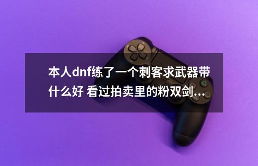 本人dnf练了一个刺客求武器带什么好 看过拍卖里的粉双剑合匕首绝对都买得起 就问带什么好-第1张-游戏信息-龙启网