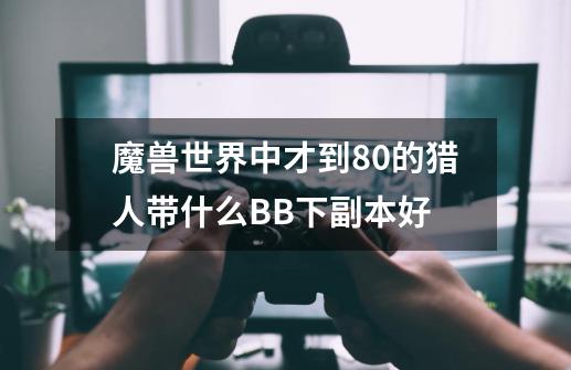 魔兽世界中才到80的猎人带什么BB下副本好-第1张-游戏信息-龙启网