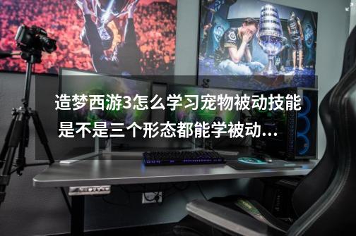 造梦西游3怎么学习宠物被动技能 是不是三个形态都能学被动技能-第1张-游戏信息-龙启网