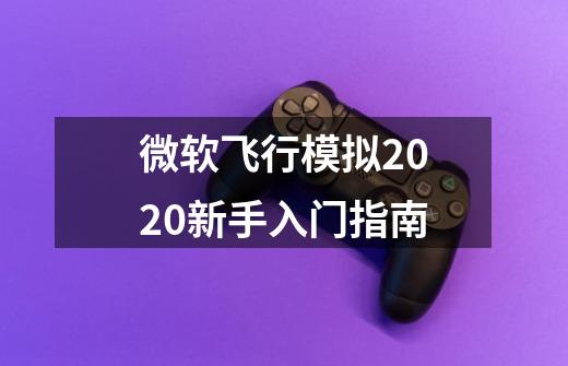 微软飞行模拟2020新手入门指南-第1张-游戏信息-龙启网