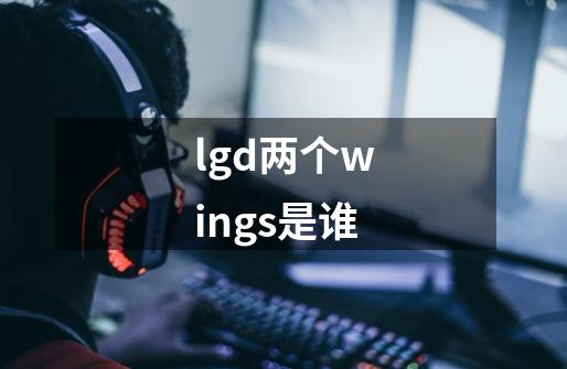 lgd两个wings是谁-第1张-游戏信息-龙启网