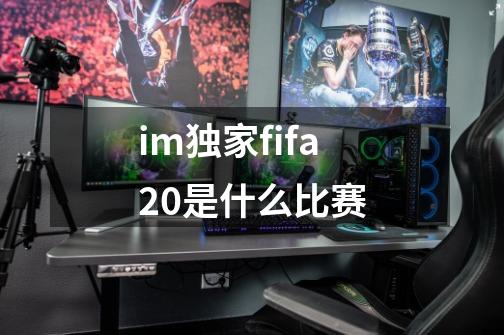 im独家fifa20是什么比赛-第1张-游戏信息-龙启网