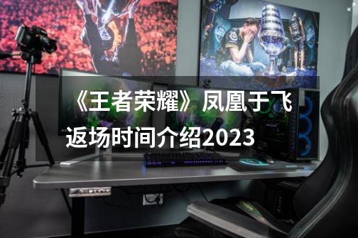 《王者荣耀》凤凰于飞返场时间介绍2023-第1张-游戏信息-龙启网