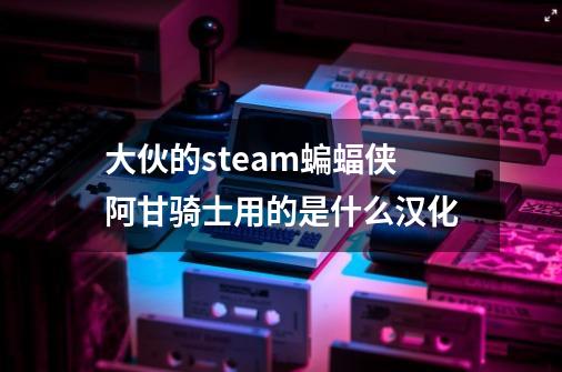 大伙的steam蝙蝠侠阿甘骑士用的是什么汉化-第1张-游戏信息-龙启网