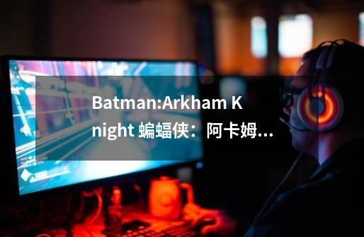 Batman:Arkham Knight 蝙蝠侠：阿卡姆骑士-第1张-游戏信息-龙启网